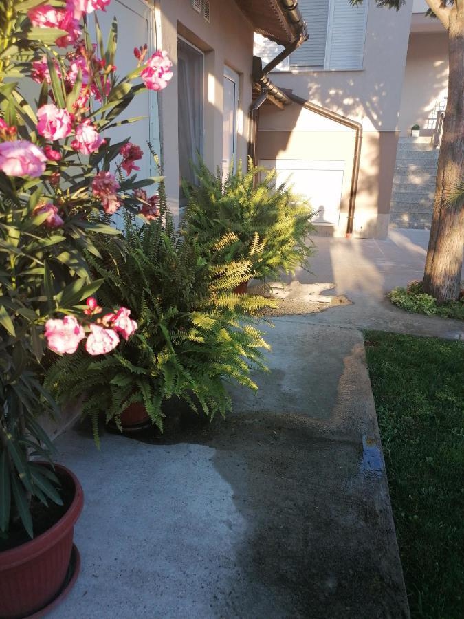 Villa Ros Guest House Svilengrad Buitenkant foto