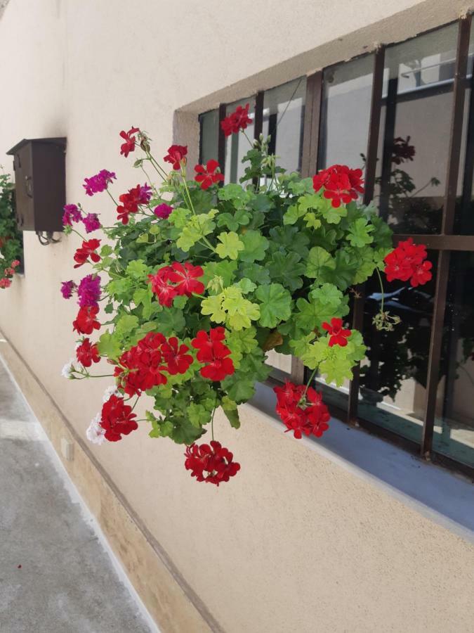 Villa Ros Guest House Svilengrad Buitenkant foto