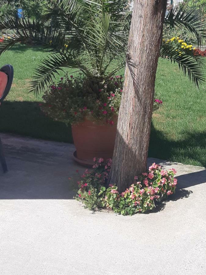 Villa Ros Guest House Svilengrad Buitenkant foto