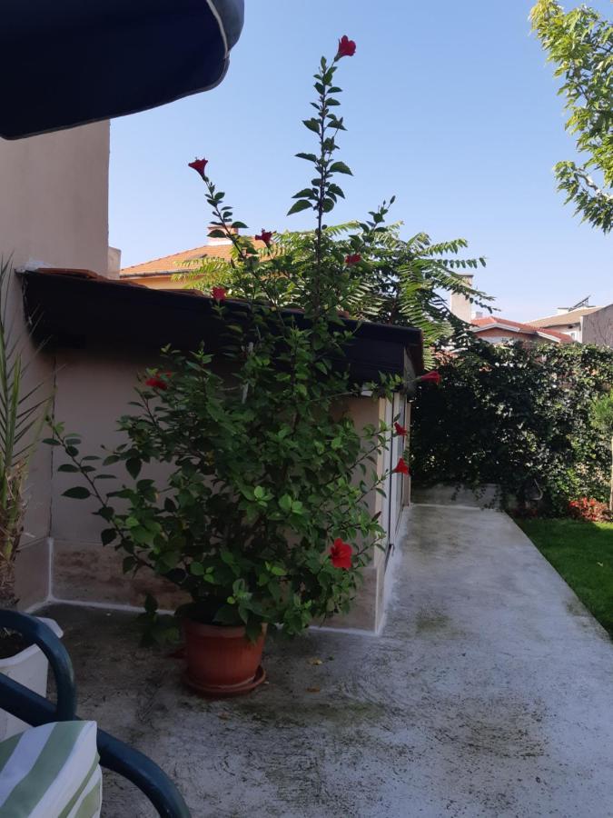 Villa Ros Guest House Svilengrad Buitenkant foto